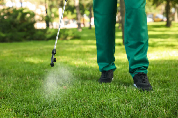 Trusted Lakeside, CA Pest Control Experts