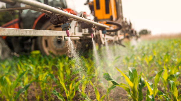 Best Pest Control for Homes  in Lakeside, CA