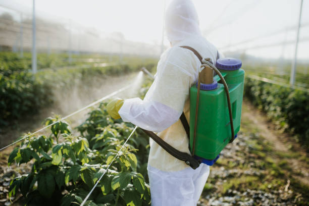 Best Commercial Pest Control Services  in Lakeside, CA